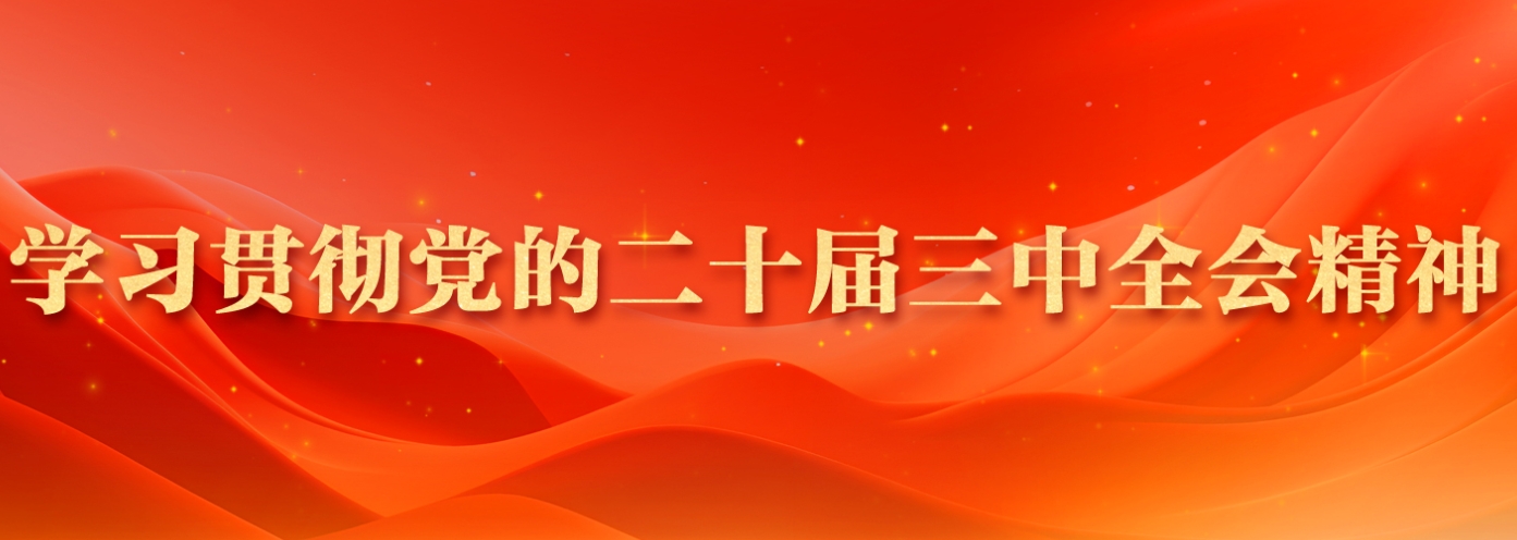 學習貫徹黨的二十屆三中全會精神 學習貫徹黨的二十屆三中全會精神